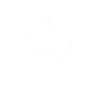 lion kin tech logo transparente